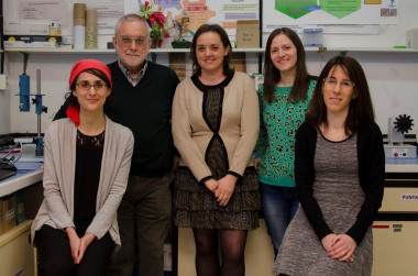 <p>De izquierda a derecha, Rebeca Miranda Castro, Arturo J. Miranda Ordieres, Maria Jesús Lobo Castañón, Susana Barreda García, Noemí de los Santos Álvarez. / UNIOVI</p>