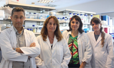 <p>De izquierda a derecha, los investigadores del Instituto de Neurociencias de la UAB Miguel Chillón, Assumpció Bosch, Lydia Giménez-Llort y Àngela Sánchez.</p>