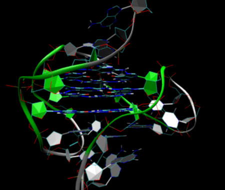 <p>La compleja estructura de los telómeros recubre los extremos de los cromosomas./ <a href="http://en.wikipedia.org/wiki/File:Telomer-structure.gif" target="_blank">Wikipedia</a></p>