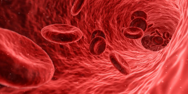 Glóbulos rojos en el torrente sanguíneo. / Max Pixel