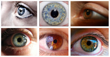 color de ojos