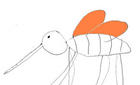 vector del dengue
