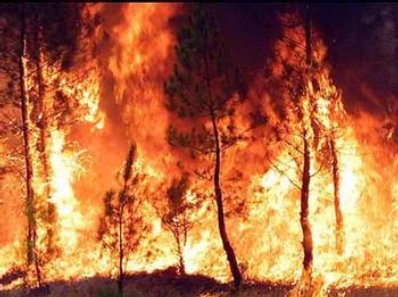 Espero y espero, esperando al paraiso, espero - Página 2 Incendios-causas-naturales-y-predicciones