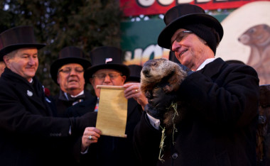 <p>La marmota Phil en Punxsutawney (EE UU), recién salida de su madriguera. / <a href="https://www.flickr.com/photos/quintanomedia/8437241711/in/photostream/" title="Ir a la galería de Anthony Quintano" target="_blank">Anthony Quintano</a></p>