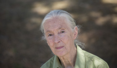 <p>Jane Goodall en el Museo Nacional de Ciencia y Tecnología. / Olmo Calvo (Sinc)</p>