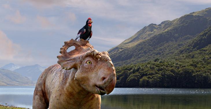 COMPORTAMIENTO DE LOS DINOSAURIOS comportamiento de los dinosaurios: