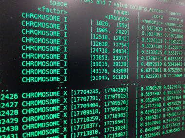 <p>La secuenciación de un genoma ocupa 600 gigabyts de memoria. / Made of Genes</p>