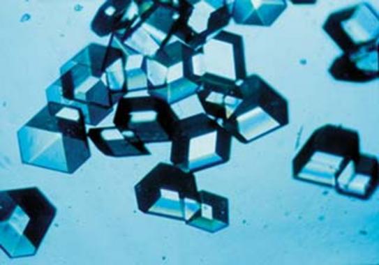 <p>Cristales de insulina. Foto: NASA.</p>