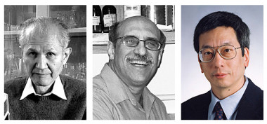<p>Los galardonados Osamu Shimomura, Martin Chalfie y Roger Y. Tsien. Foto: Nobelprize.</p>