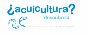 Exposición