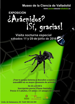 Visitas nocturnas a la exposición '¿Arácnidos? ¡Sí, gracias!'