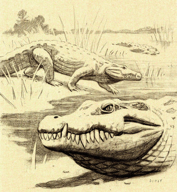 <p>Reconstrucción del aspecto en vida de <em>Lohuecosuchus megadontos</em>. / Javi Godoy</p>