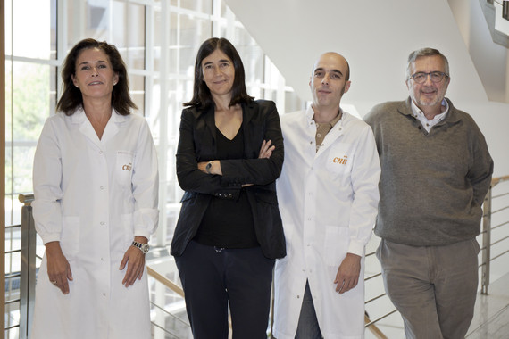 <p class=" text-left">Los investigadores Paula Martínez, María Blasco, Oriol Calvete y Javier Benítez (de izquierda a derecha).<strong> / </strong>CNIO</p>