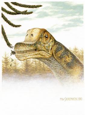 <p><a href="http://www.plataformasinc.es/index.php/esl/En-exclusiva/Imagenes-embargadas/Descubren-cuatro-craneos-de-una-nueva-especie-dinosaurio-herbivoro" target="_self">Reconstrucción del nuevo dinosaurio <em>Abydosaurus</em> <em>mcintoshi</em></a>. Ilustración: Michael Skrepnick.</p>