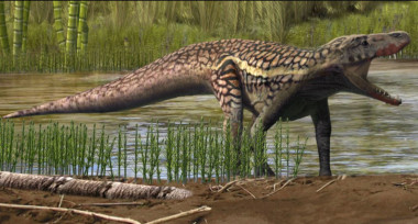 <p>Reconstrucción artística de un arcosauromorfo. / Oscar Sanisidro / Institut Català de Paleontologia Miquel Crusafont</p>