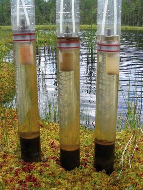 <p>Incubación de muestras de sedimento en un lago de bosque boreal. <a href="http://www.plataformasinc.es/index.php/esl/En-exclusiva/Imagenes-embargadas" target="_blank">Foto</a>: Cristian Gudasz. </p>