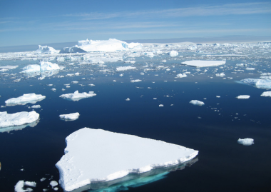 <p>Icebergs flotan en el océano Antártico. / Science</p>