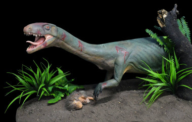 <p>Modelo de la nueva especie <em>Teleocrater rhadinus,</em> un pariente cercano de los dinosaurios con una presa de cinodonte juvenil, un pariente lejano de los mamíferos / Museo Argentino de Ciencias Naturales</p>