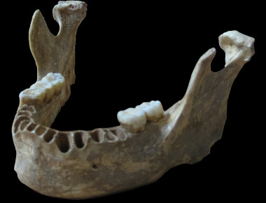 <p>El ADN extraído de una mandíbula de unos 40.000 años de antigüedad, hallada en la cueva rumana de Peștera cu Oase, revela que este individuo tuvo un pariente neandertal. / Svante Pääbo, Max Planck Institute for Evolutionary Anthropology</p>