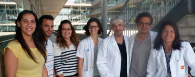 <p>De izquierda a derecha, los autores de la investigación: Jessica González, Pol Margalef, Erika López, Mar Iglesias, Lluís Espinosa, Fernando Gallardo y Anna Bigas. / IMIM</p>