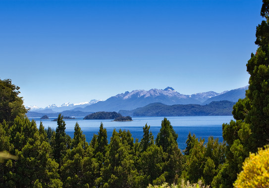 <p>Bosque de coníferas en la precordillera de la Patagonia andina. Lago Nahuel Haupi (Argentina) / <a href="https://es.wikipedia.org/wiki/Bosque_de_con%C3%ADferas#/media/File:View_from_the_Golf_course_at_Llao_Llao.jpg" target="_blank">Wikipedia</a></p>