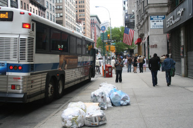 <p>El equipo muestreó artrópodos –como insectos y milpiés– en las calles y parques de Manhattan. / Duncan Oldham. </p>