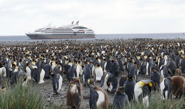 <p/>Pingüinos en la Antártida expuestos al tráfico de buques. / Universidad de Valencia” /><span style=