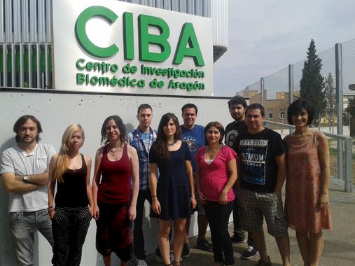 <p>Imagen del equipo de Julián Pardo (a la izquierda), en el Centro de Investigación Biomédica de Aragón (Universidad de Zaragoza-IACS). Unizar</p>