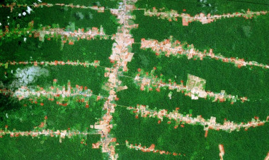 <p>Deforestación en la Amazonia brasileña en los alrededores de las carreteras. / Google Earth</p>