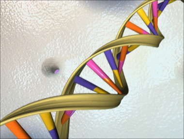<p>Los resultados obtenidos en el proyecto 1.000 genomas se harán públicos para que cualquier investigador pueda acceder a ellos de forma gratuita. Imagen: <a href="http://www.flickr.com/photos/aleiex/1207578347/sizes/o/" target="_blank">Aleiex</a></p>