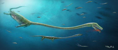 <p>Reconstrucción de un <em>Dinocephalosaurus </em>con la cría en su interior comiendo un pez. / Dinghua Yang</p>