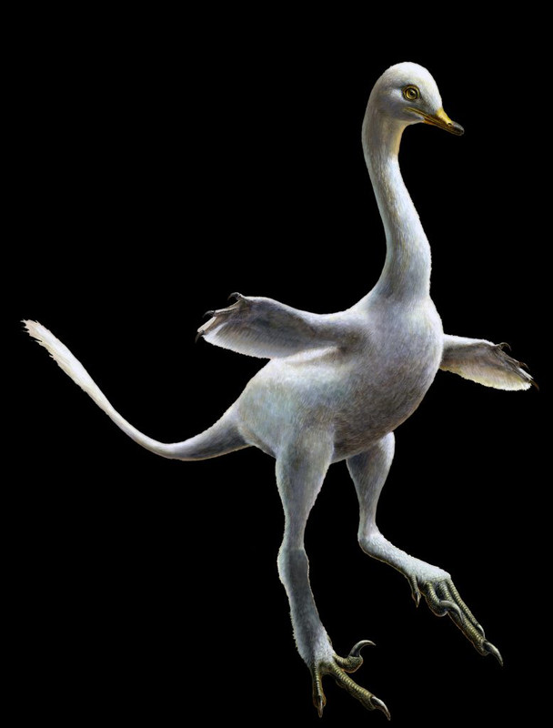 Un Dinosaurio Parecido A Un Pato Con Cuello De Cisne Y - 