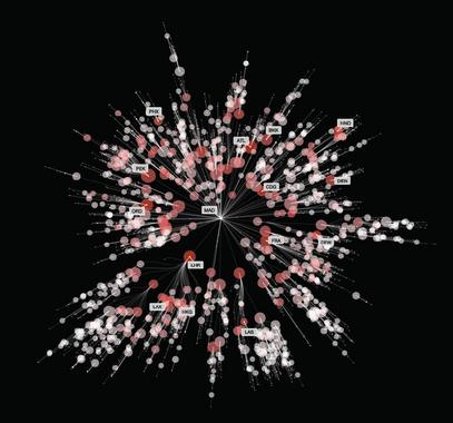 <p>Simulación del mundo según el modelo matemático, con la ciudad de Madrid como referencia./ Dirk Brockmann </p>