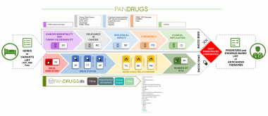<p>PanDrugs prioriza los tratamientos farmacológicos basándose en los datos genómicos del paciente. / CNIO</p>