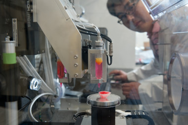 <p>Impresión de un prototipo de riñón. / Wake Forest Institute for Regenerative Medicine </p>