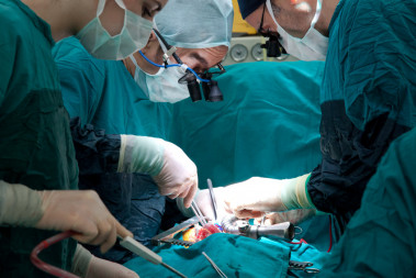 <p>Se estima que entre un 15 y un 20% de los trasplantes renales son rechazados por el paciente. / Fotolia</p>