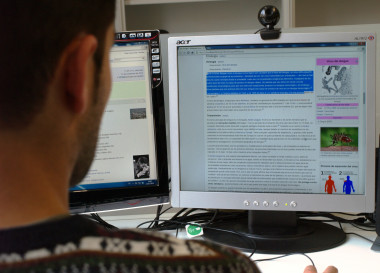 <p>Un usuario consulta el artículo dedicado al dengue en Wikipedia. / DiCYT</p>