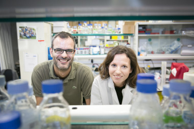 <p>Salvador Aznar y Gloria Pascual, investigadores del grupo de células madre y cáncer en el IRB de Barcelona. / IRB</p>