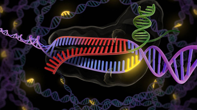 <p>El uso de CRISPR puede provocar mutaciones no controladas. / Universidad de Berkeley</p>