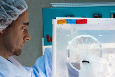 <p/>Un investigador mantiene la colonia de mosquitos del insectario del Centro de Investigación de Enfermedades de Países en Desarrollo de Tres Cantos. / GSK” style=”” /><span style=