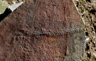 <p>Rastro fosilizado del animal <em>Yilingia spiciformis</em>, que data de hace 550 millones de años. El rastro fue encontrado en China. / Virginia Tech College of Science</p>