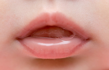 <p>La saliva supone la primera fase de la digestión. Sus enzimas son fundamentales en la masticación y deglución. / AdobeStock</p>