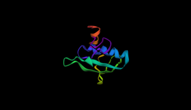 <p>Esta es la proteína Aw112010 que ha sorprendido a los biólogos. Procede de ADN catalogado como no codificante y, además, tiene funciones claras relacionadas con la inflamación en ratones. / <em>Nature</em></p>