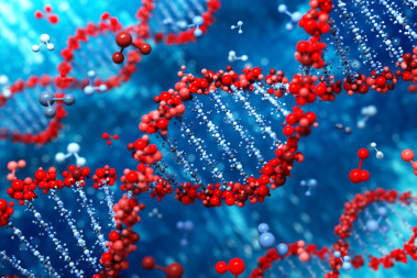 <p>Las enfermedades mendelianas se producen por mutaciones genéticas en el paso de ADN entre padres e hijos. / Fotolia.</p>