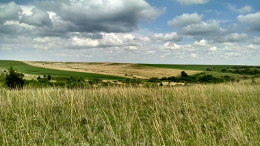 <p>Pradera en laÂ EstaciÃ³n BiolÃ³gica Konza Prairie en el noreste de Kansas / Kim Komatsu</p>