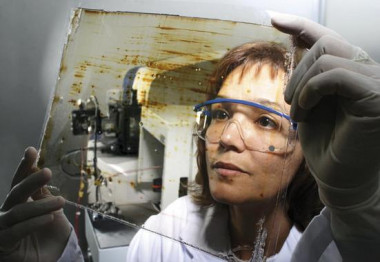 <p>Las investigadoras europeas presentaron aproximadamente el 17% de las propuestas. / Raimon Solà / PCB </p>