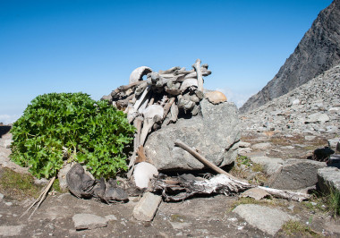 <p>Restos de esqueletos en el lago Roopkund / <a href="https://commons.wikimedia.org/wiki/User:Schwiki" title="User:Schwiki" target="_self">Schwiki</a> </p>