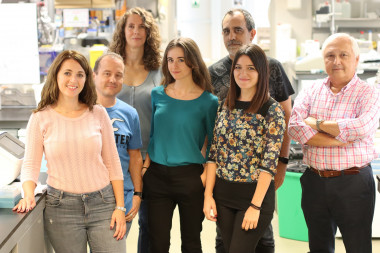 <p>Investigador del Centro Nacional de Investigadores Cardiovasculare implicados en el proyecto. / CNIC</p>