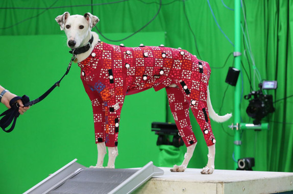 <p>Los datos de movimiento de los perros permitirá crear animaciones de animales más realistas en las películas y los videojuegos. / Anna Barclay, University of Bath</p>