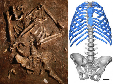 <p class=" text-left">
Izquierda: Fotografía de un molde del esqueleto neandertal de Kebara 2 tal y como fue encontrado./ J. Trueba/Madrid Scientific Films<br />Derecha: Imagen de la reconstrucción del tórax de Kebara 2. Barra de escala = 5 cm. / A. Gómez-Olivencia, A. Barash and E. Been</p><p><em> </em></p>